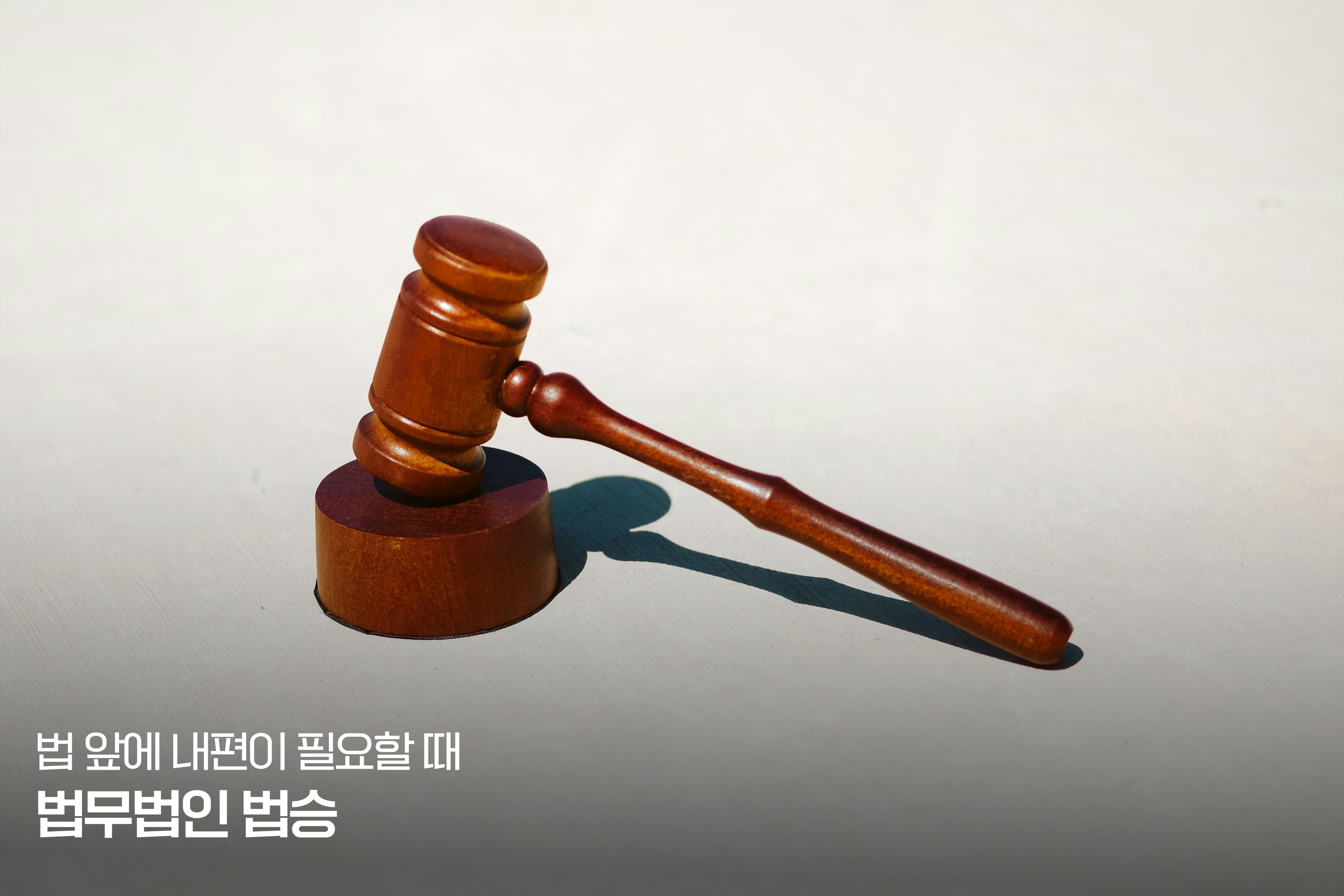 [칼럼] "구청 공무원인 줄 알았는데 형사입건을 한다고요?" - '지자체 특사경'의 진짜 업무