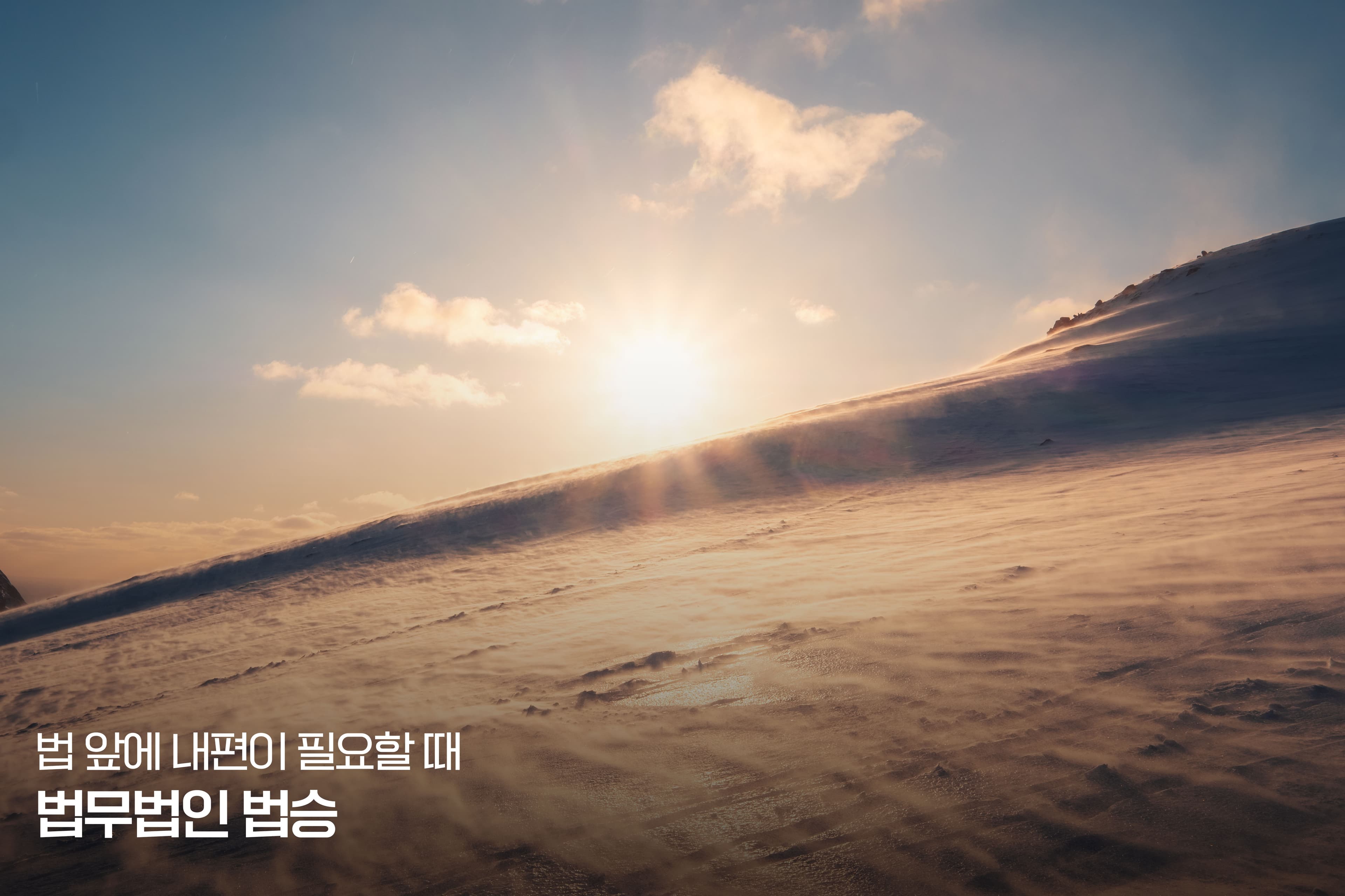 「 회생 시리즈 - 12편 」 자영업자의 투자 실패, 원인인가 결과인가– 서울회생법원과 제주지방법원이 ‘지역형 채무자’를 보는 방식